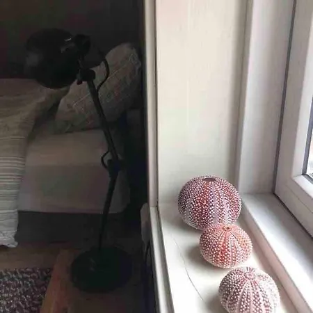 Rorbu In A Fantastic Location In Stamsund Apartment *
